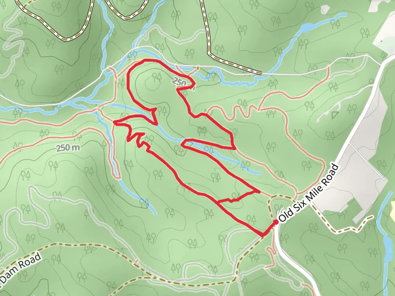 Collarbone - Little Sasquatch - Hardwood - Lawrence Loop Trail