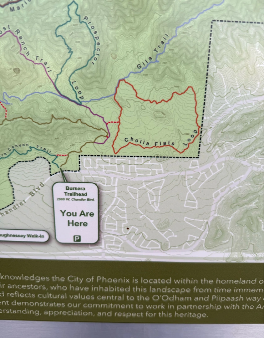 An image depicting the trail Cholla Flats Loop via Busera and Lost Ranch Trail and its surrounding area.