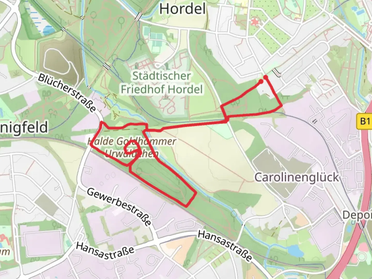 An image depicting the trail Halde Goldhammer Urwaldchen Loop and its surrounding area.