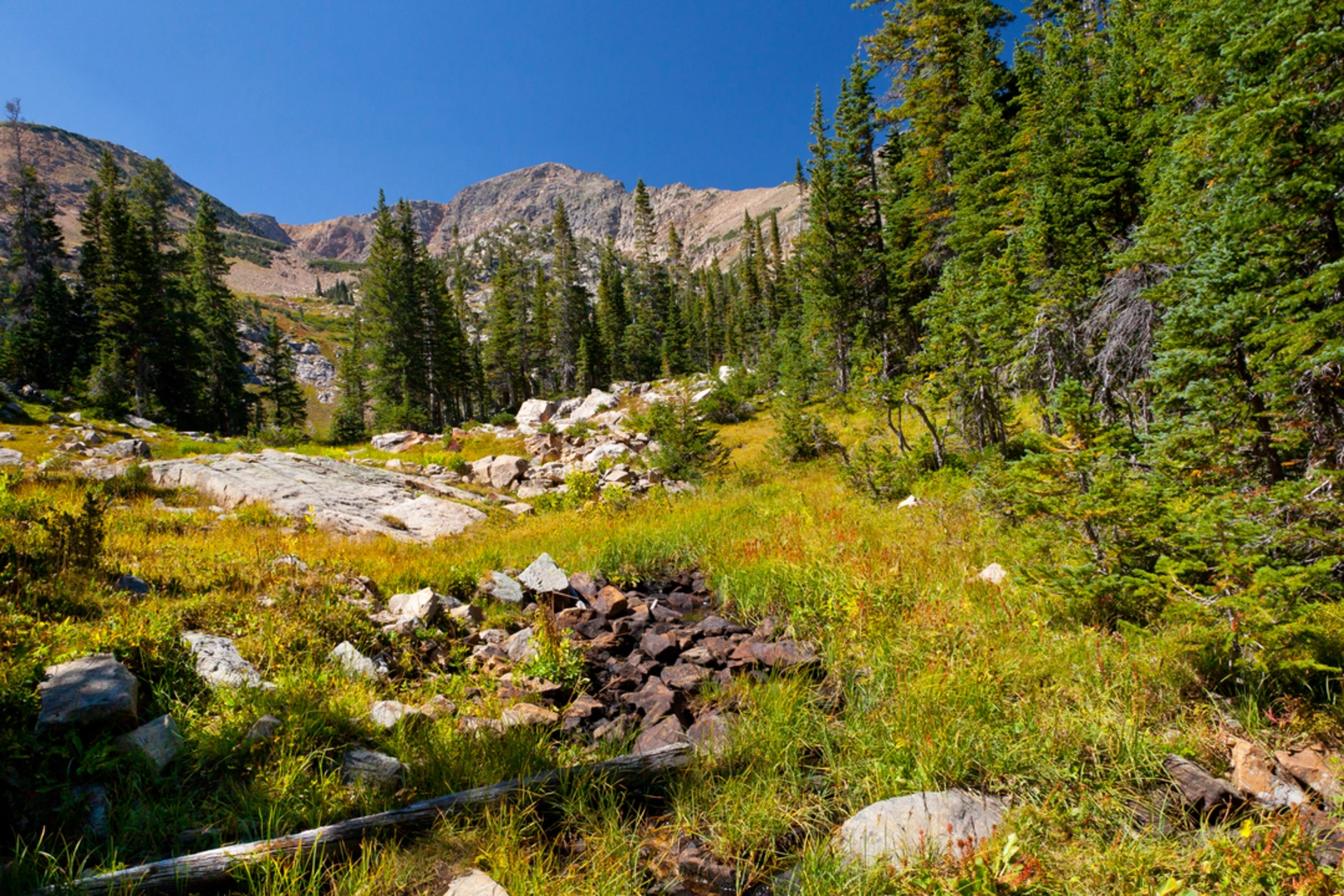 An image depicting the trail Crater Lakes Trail and its surrounding area.