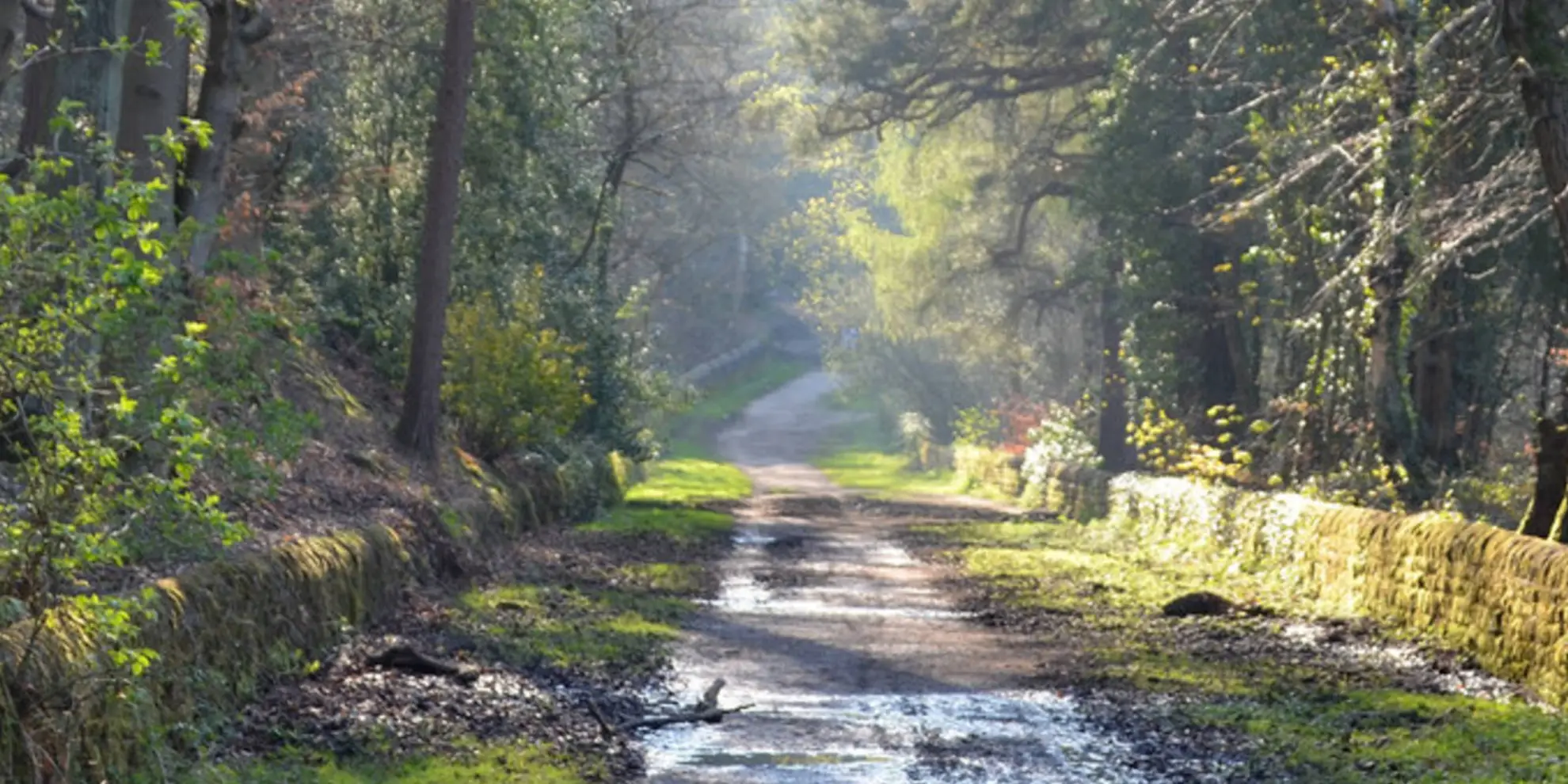 An image depicting the trail Rod Moor from Dungworth Circular and its surrounding area.