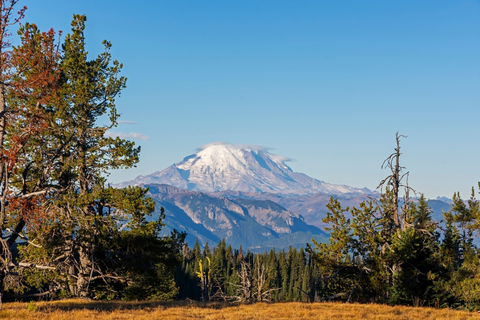 An image depicting the trail North Fork Taneum Trail and its surrounding area.