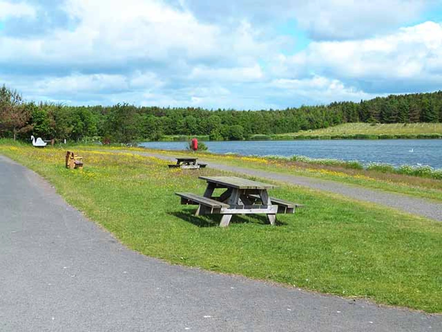 An image depicting the trail Ladyburn Lake Loop and its surrounding area.