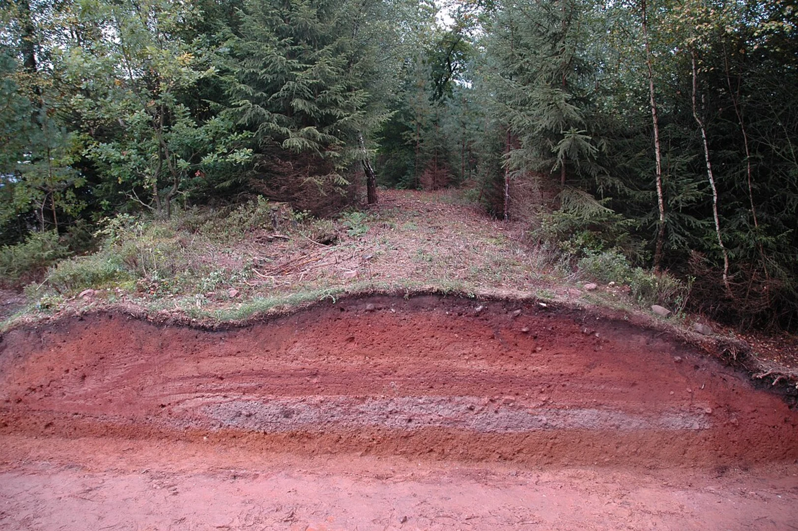 An image depicting the trail Heidenkopf, Gutenbrunnen and Kottelbach Loop and its surrounding area.
