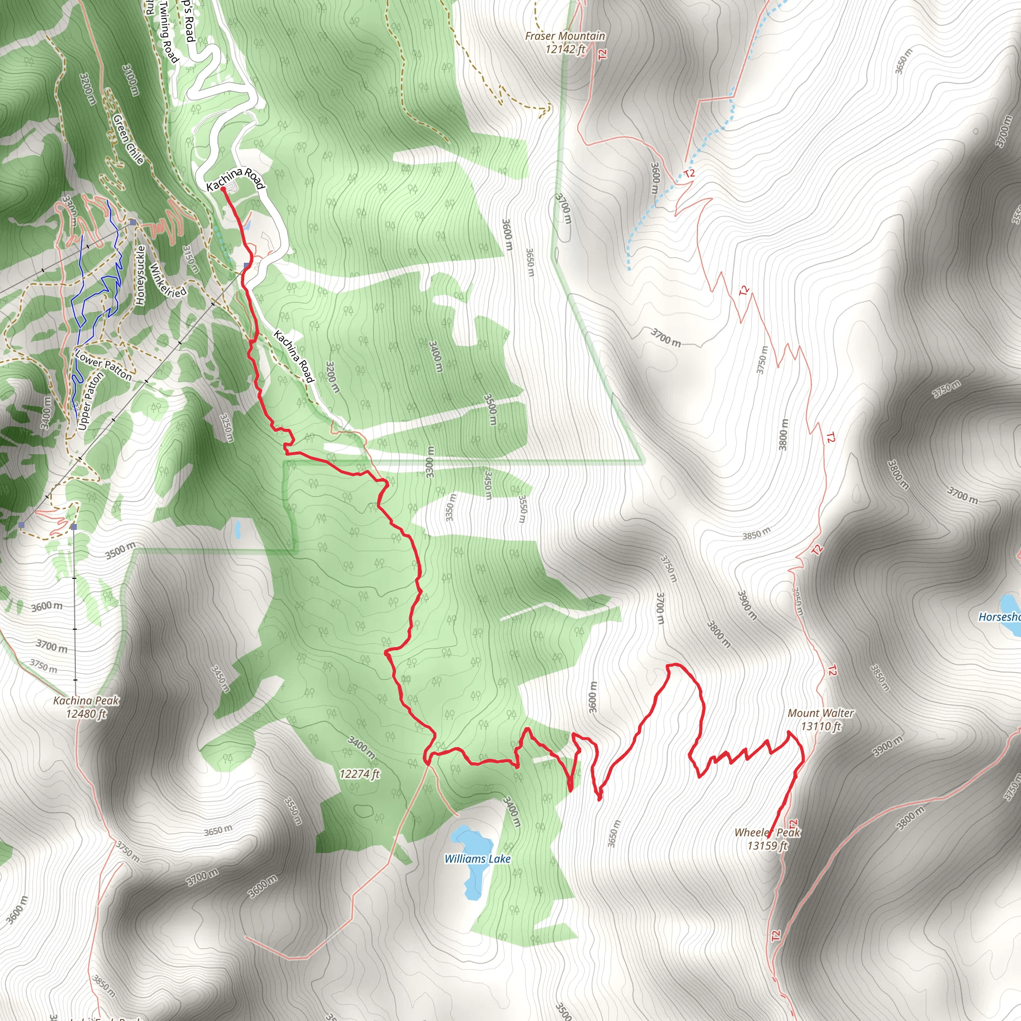 Mount Walter, Wheeler Peak and Williams Lake mobile static map