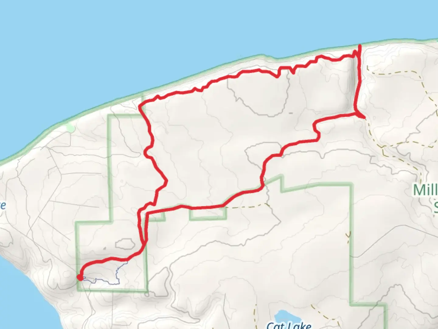 An image depicting the trail Bluff, Beach and 1st Loop Trail and its surrounding area.