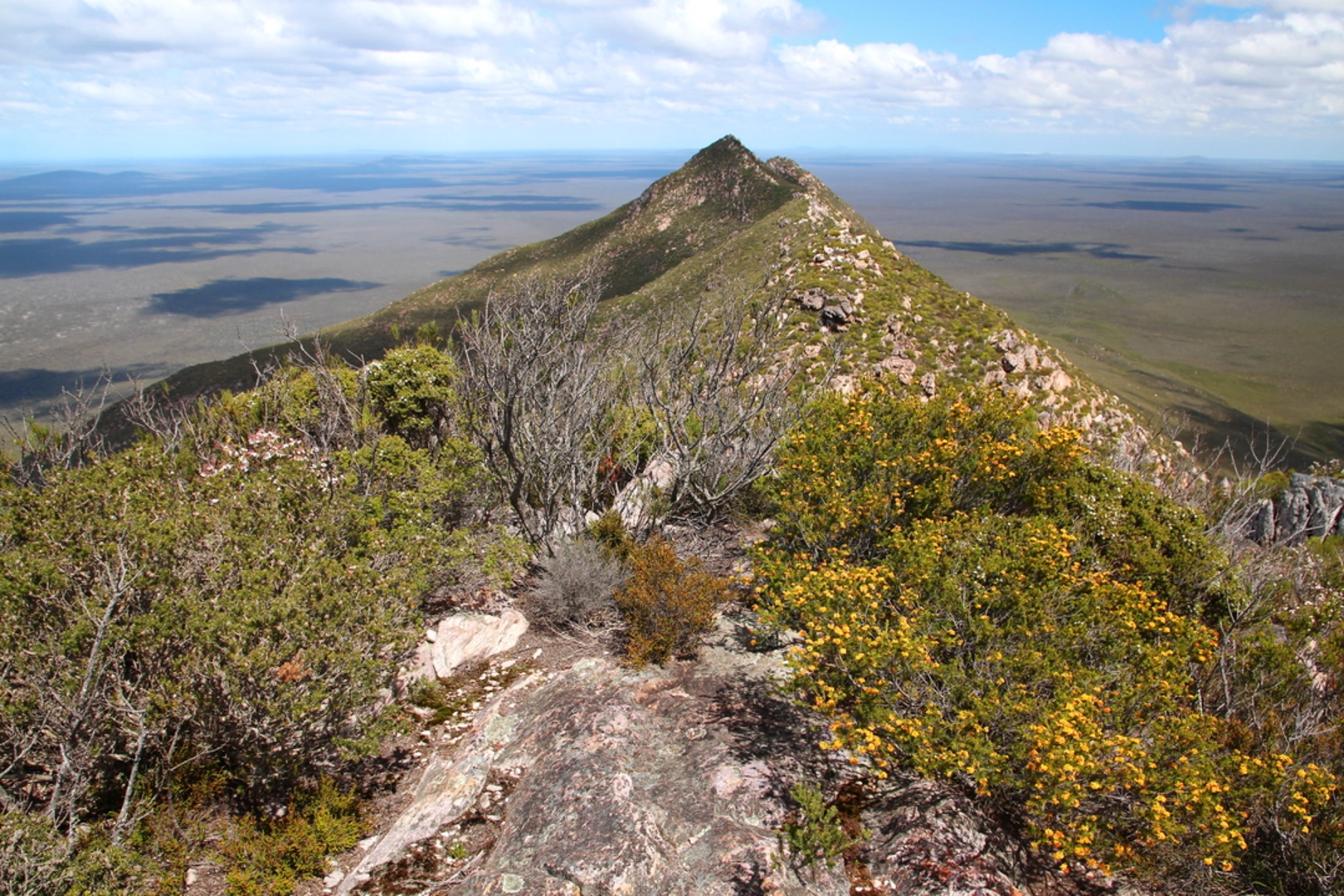 An image depicting the trail Mt Ragged Walk and its surrounding area.
