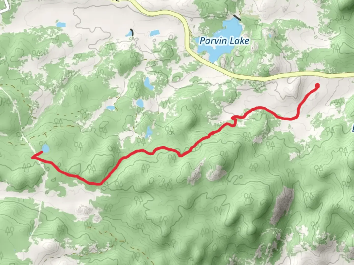 An image depicting the trail Molly Lake via Lady Moon Trail and its surrounding area.