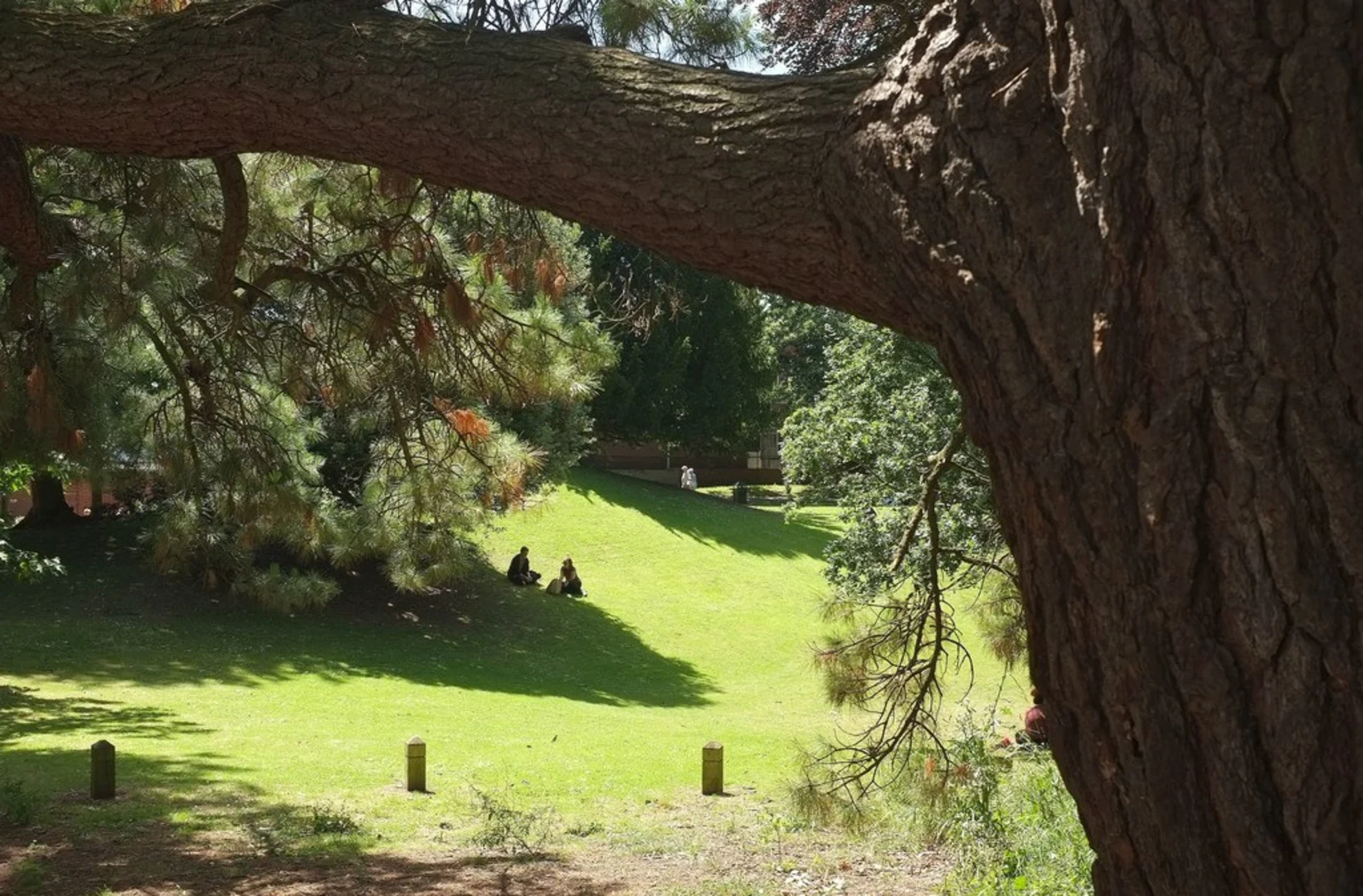 An image depicting the trail Cathedral Green and Rougemont Garden and its surrounding area.