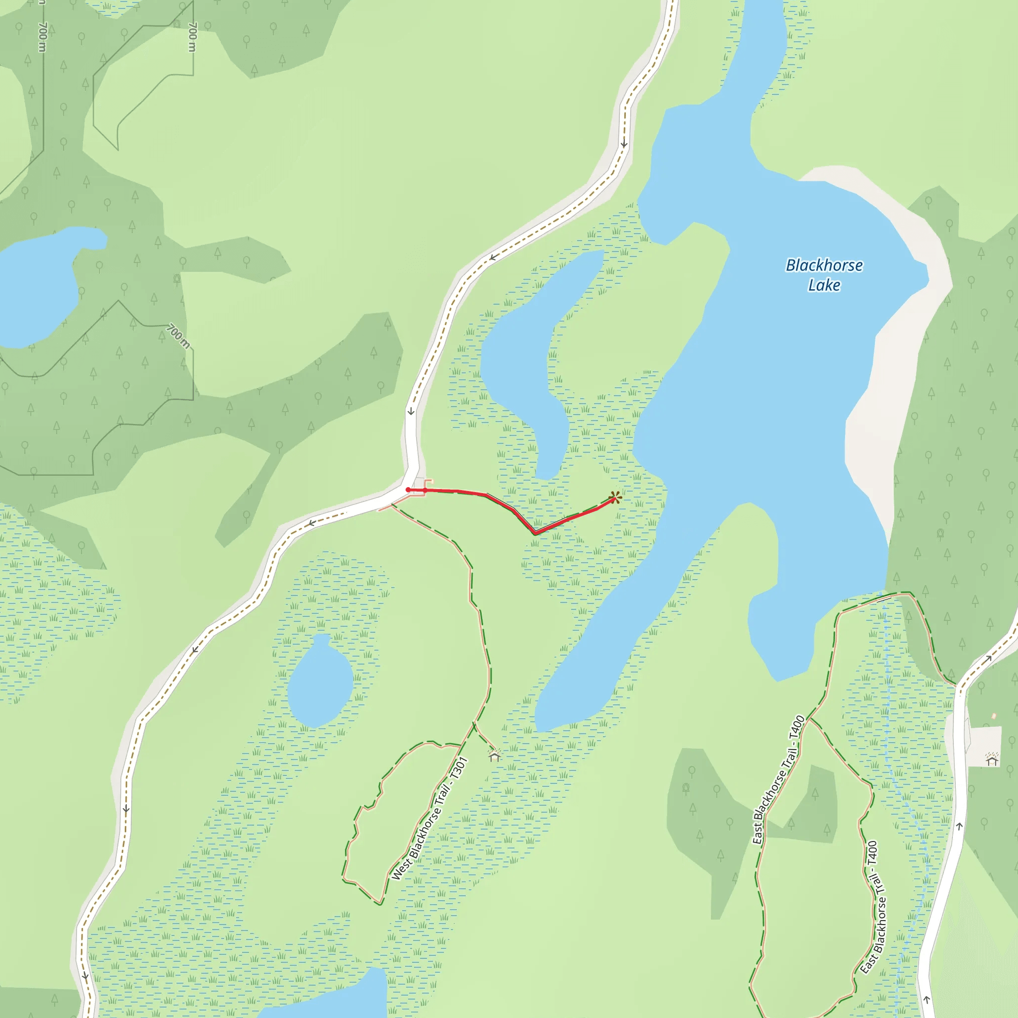 Blackhorse Lake Woodchip Trail mobile static map