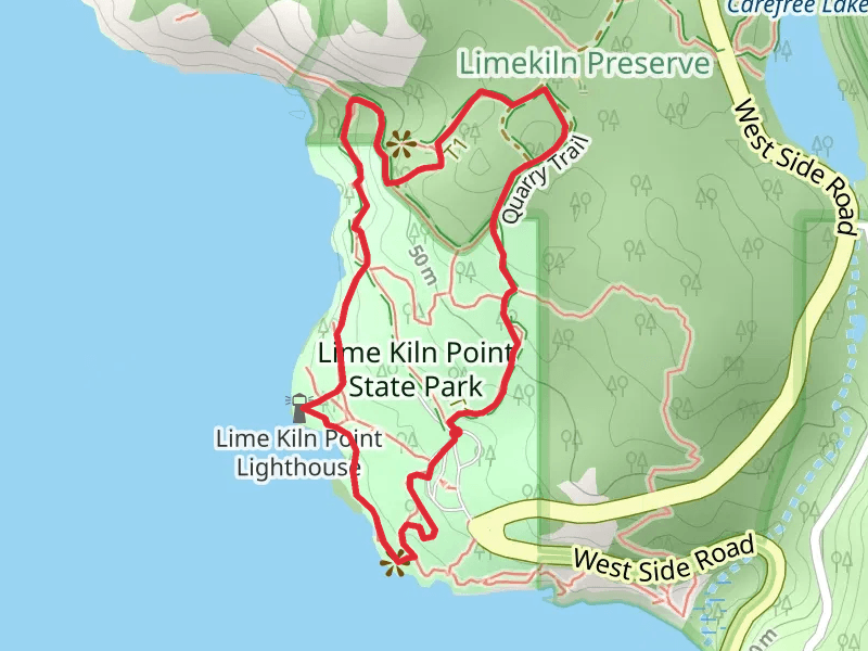 Lime Kiln Point State Park Loop