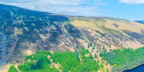 An image depicting the trail Camaderry Mountain and its surrounding area.