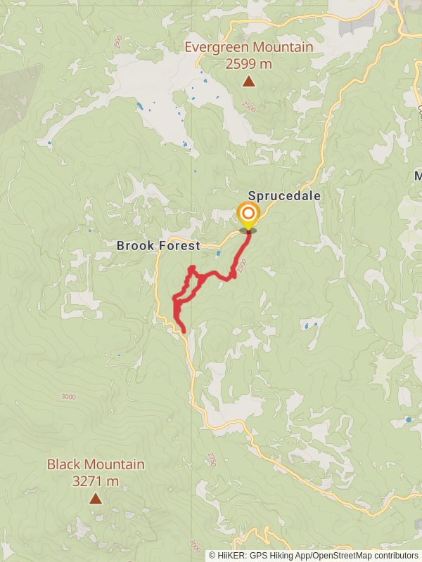 Maxwell Falls Loop Trail - South Brook Forest Road