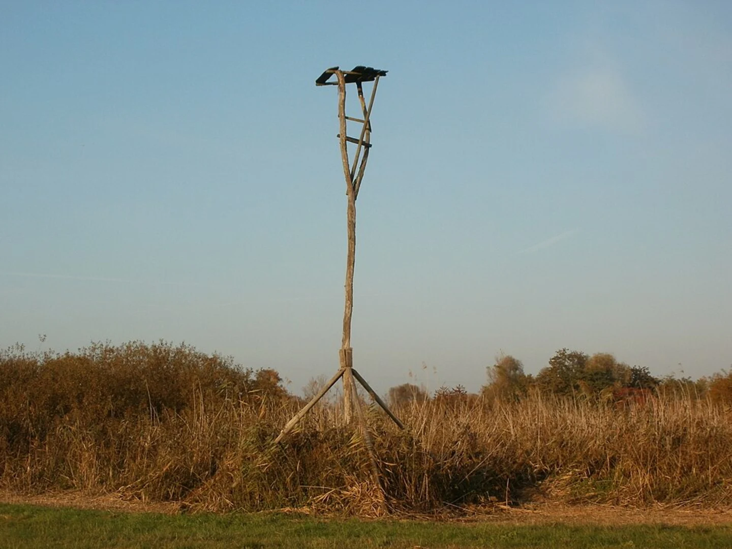 An image depicting the trail Holzweißiger Ostsee and Paupitzscher See Loop and its surrounding area.