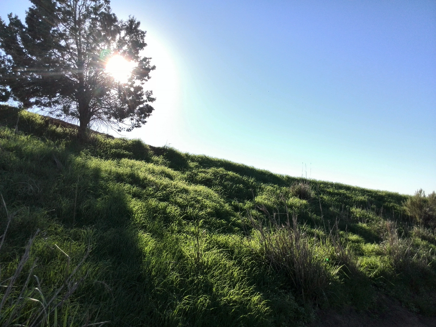 An image depicting the trail Park to Playa - Ron's - La Brea Loop Trail and its surrounding area.
