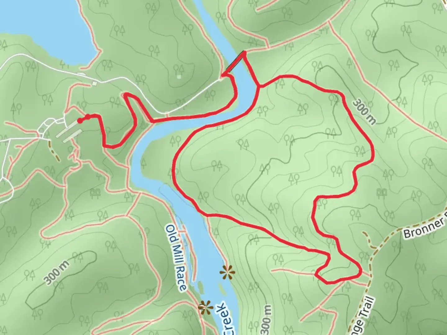 An image depicting the trail Yellow Loop Trail and its surrounding area.