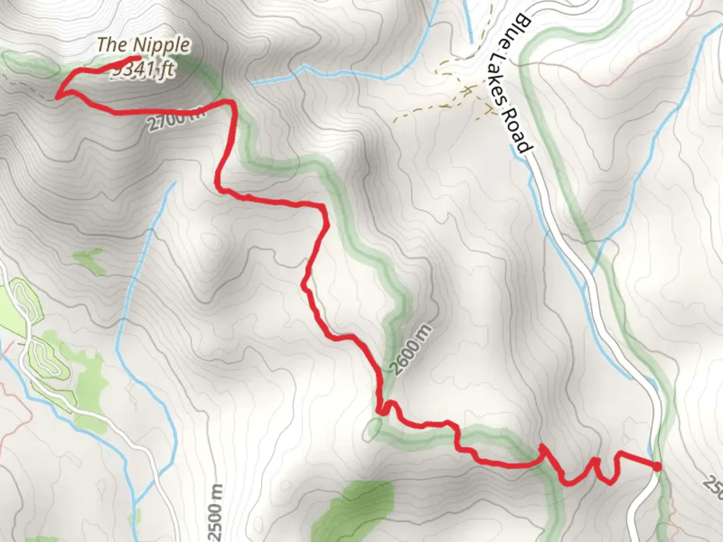 An image depicting the trail The Nipple via PCT and its surrounding area.