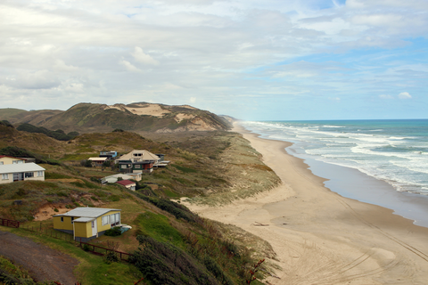 Maunganui Bluff Track