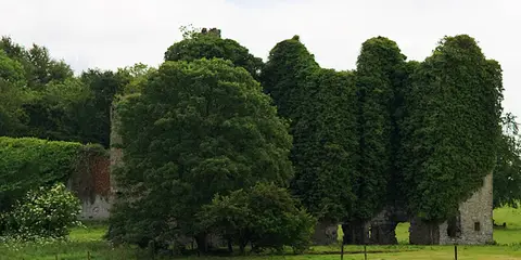 An image depicting the trail Summerhill Woodland Loop and its surrounding area.