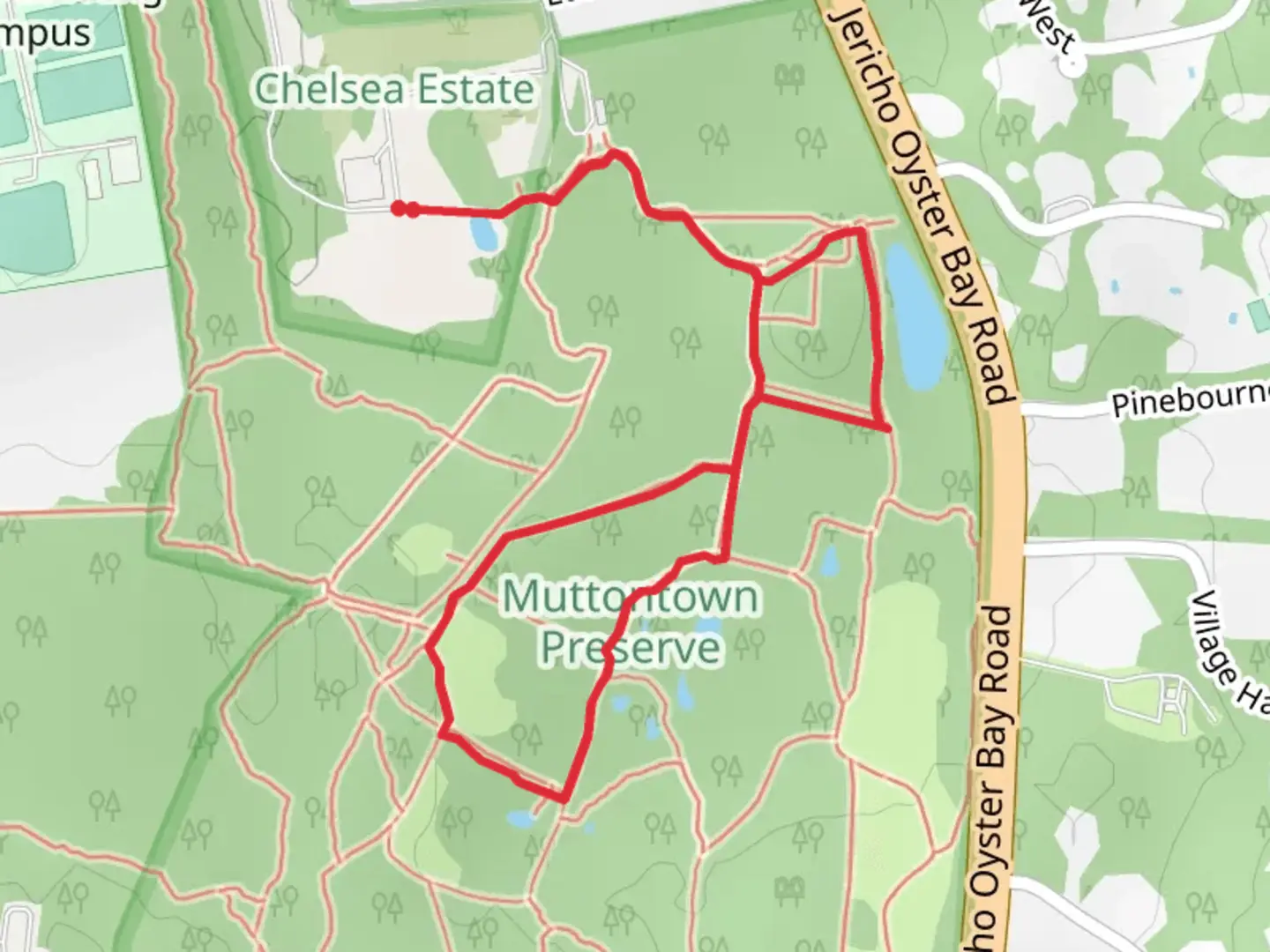 An image depicting the trail King Zog's Loop Trail and its surrounding area.