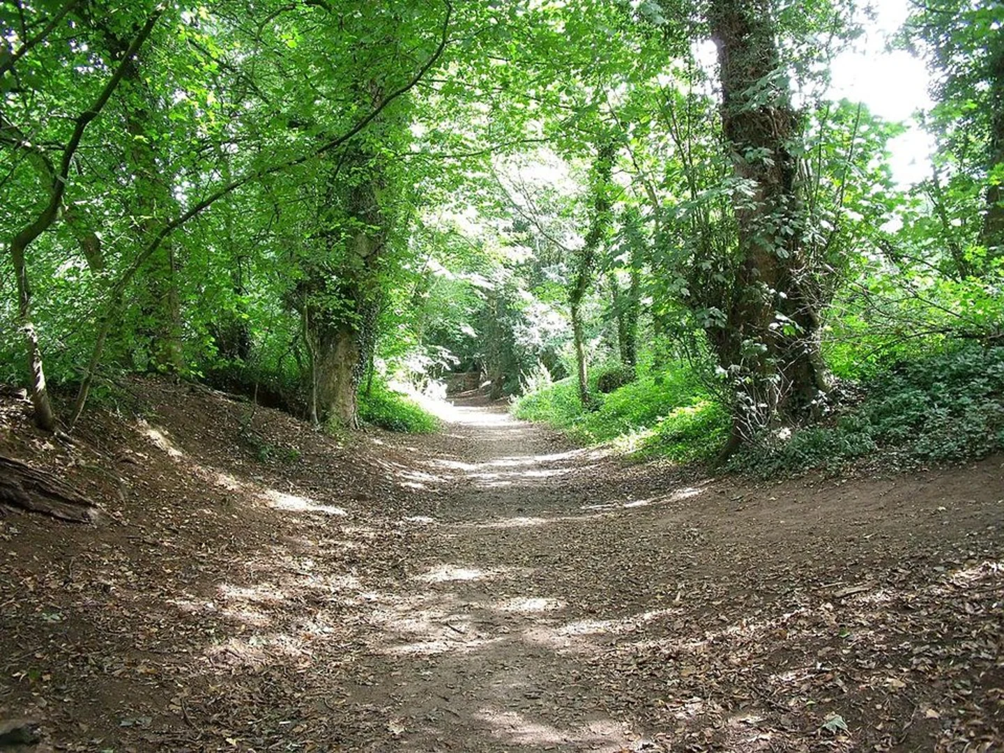 An image depicting the trail Grace Dieu Trail and its surrounding area.