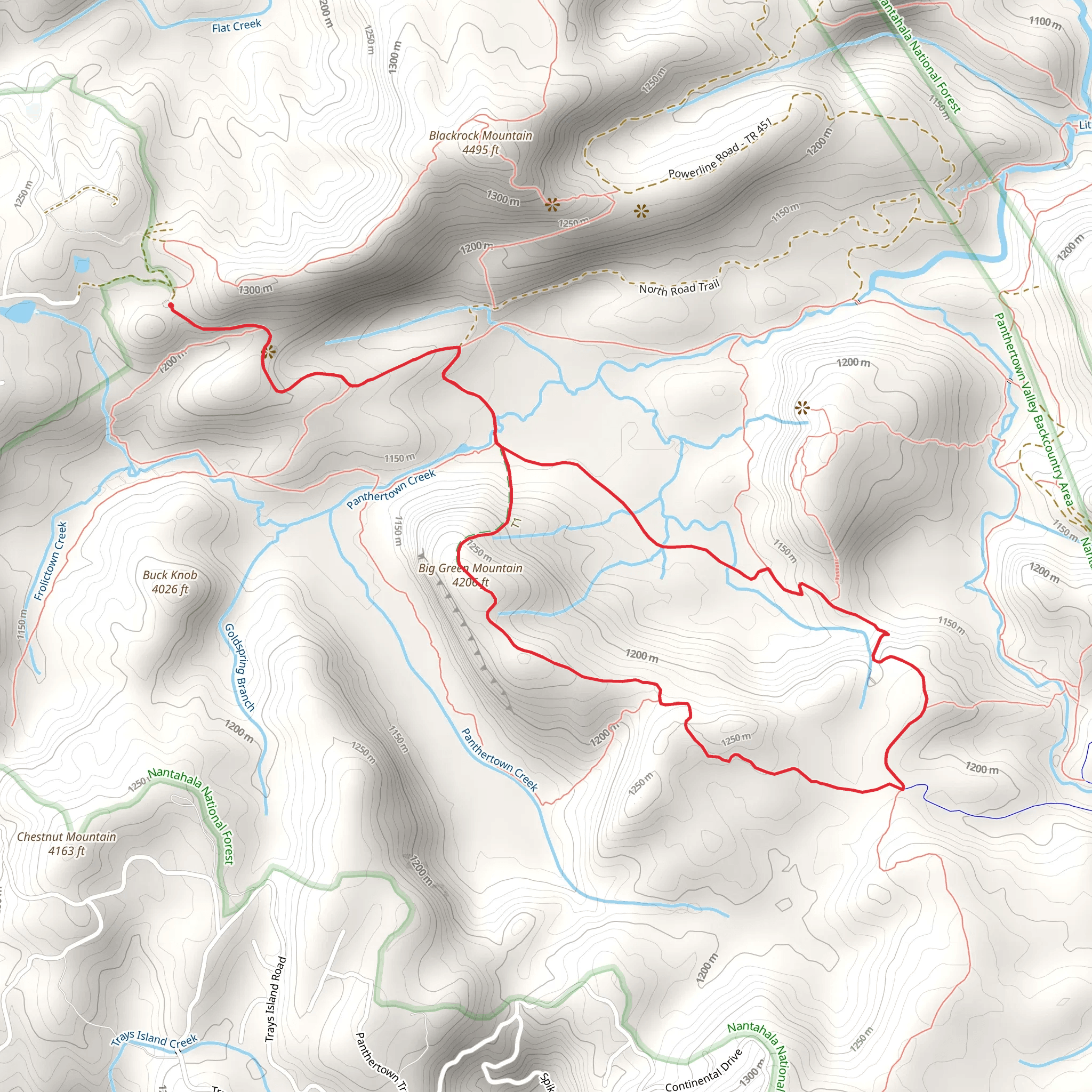 Big Green Mountain via Big Green Trail and Mac's Gap Trail mobile static map