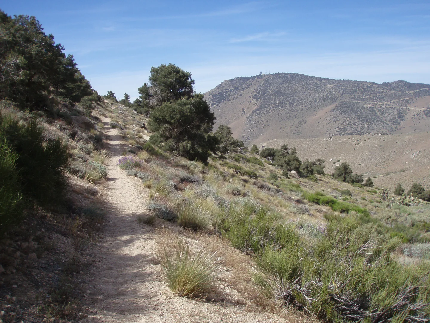 An image depicting the trail Skinner Peak via Bird SPring Pass and its surrounding area.