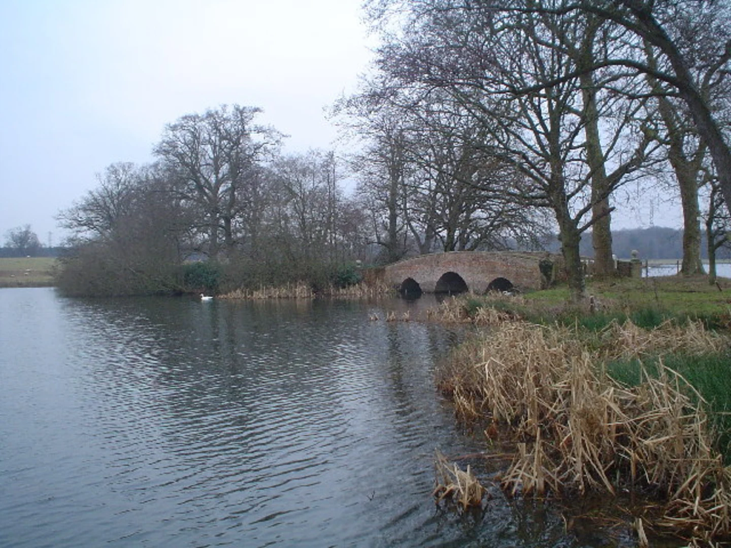 An image depicting the trail Basingstoke Canal from West Byfleet to Greywell and its surrounding area.