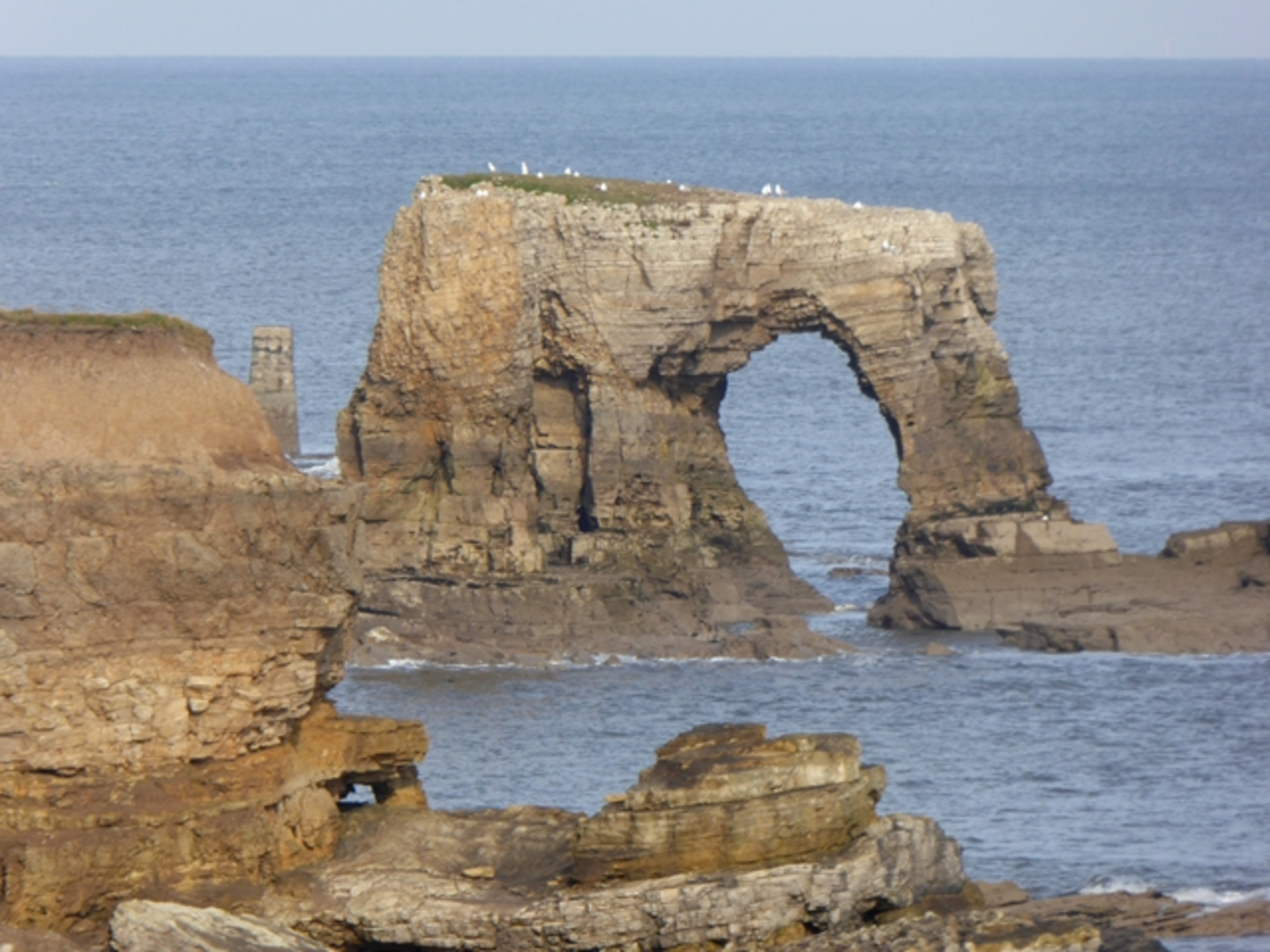 An image depicting the trail Lizard Point via Way of Learning and its surrounding area.