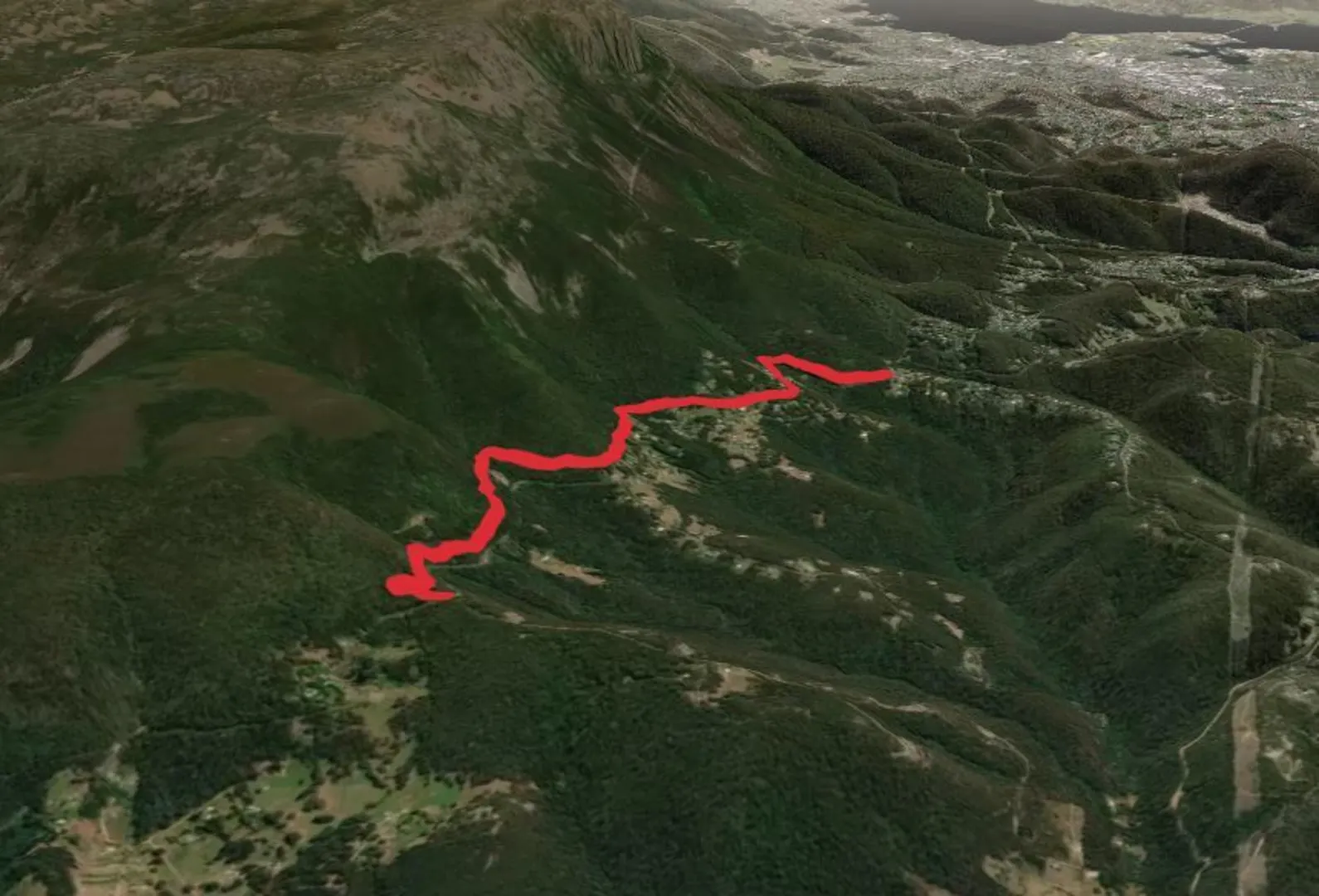 An image depicting the trail Fern Tree to Neika Trail and its surrounding area.
