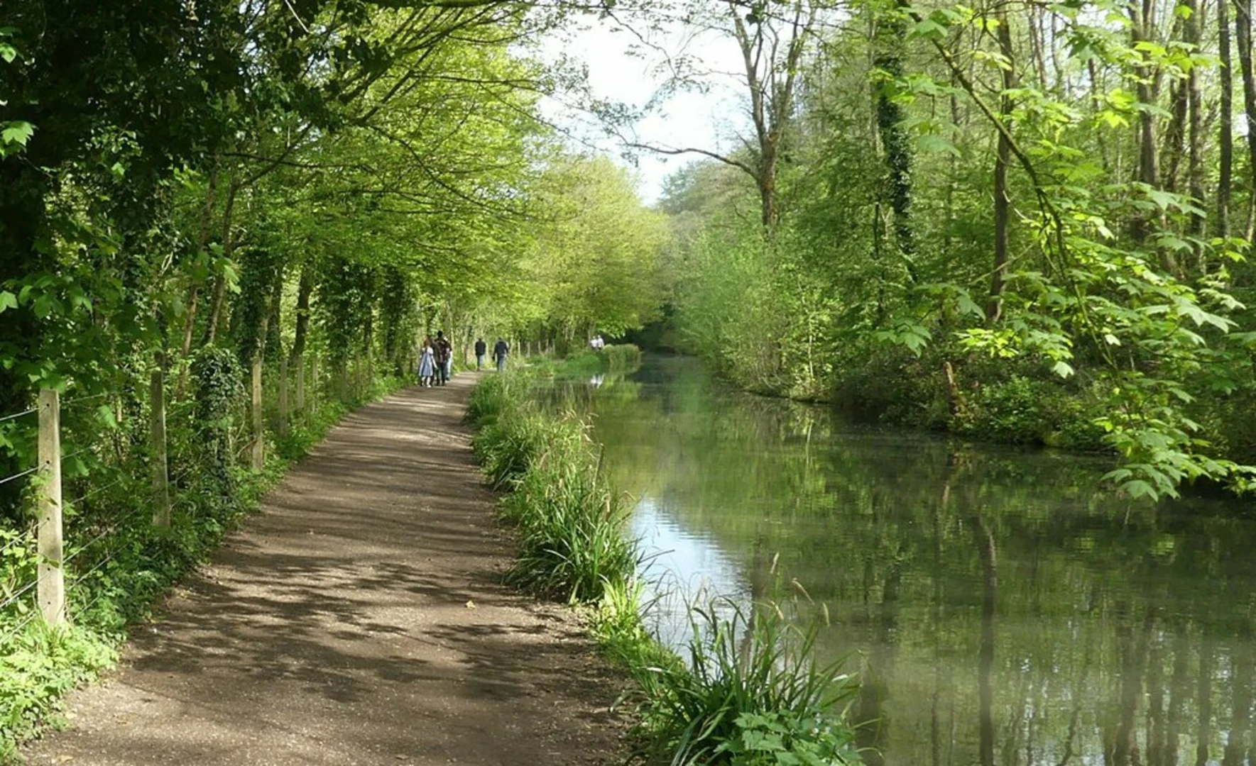 An image depicting the trail Black Rocks Loop and its surrounding area.