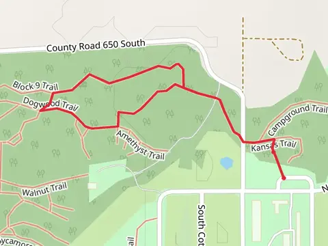Block 9 and Amethyst Loop Trail