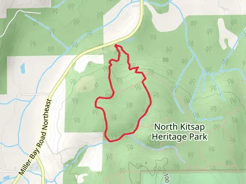 Spine Line and Boundary Loop Trail