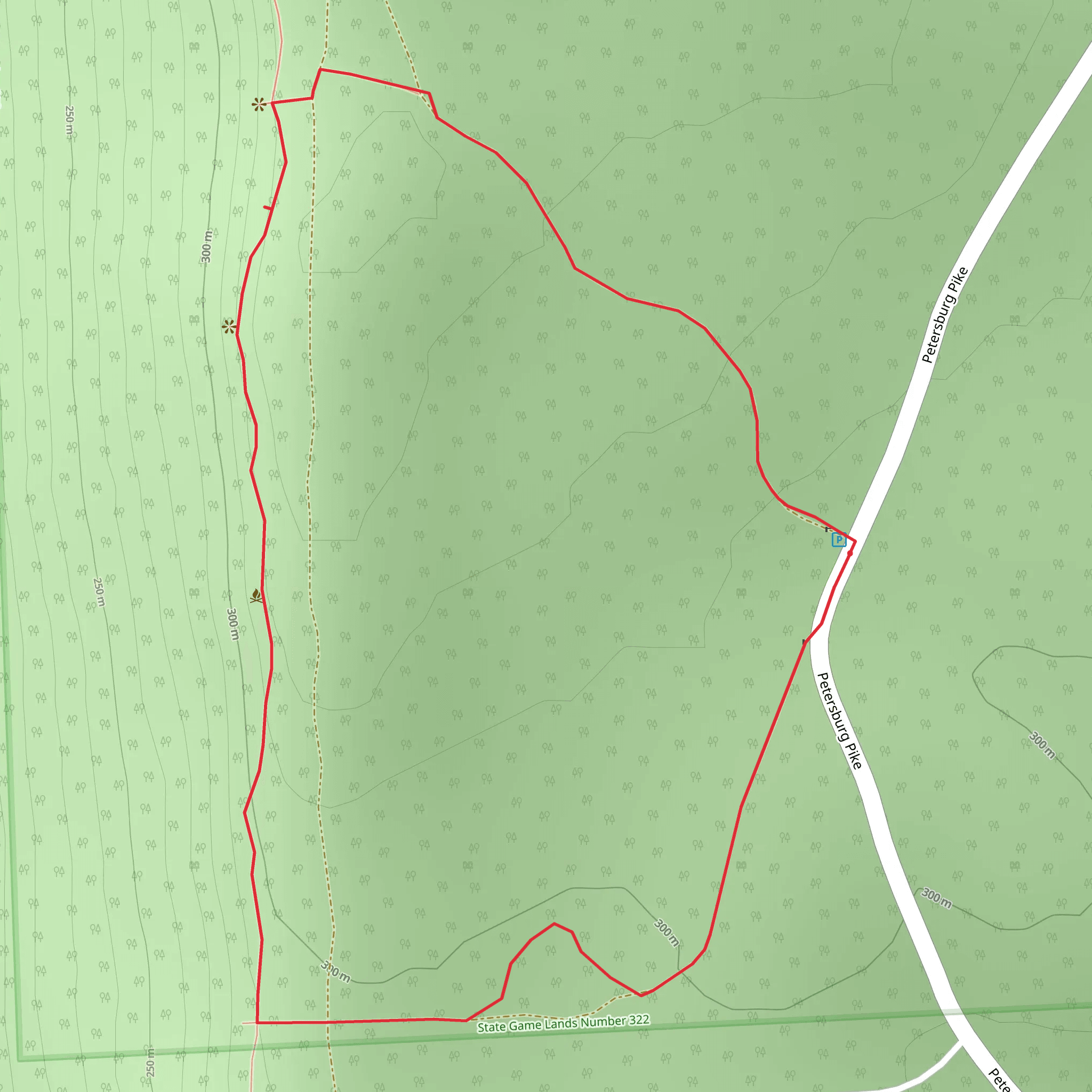 Oneida Loop mobile static map