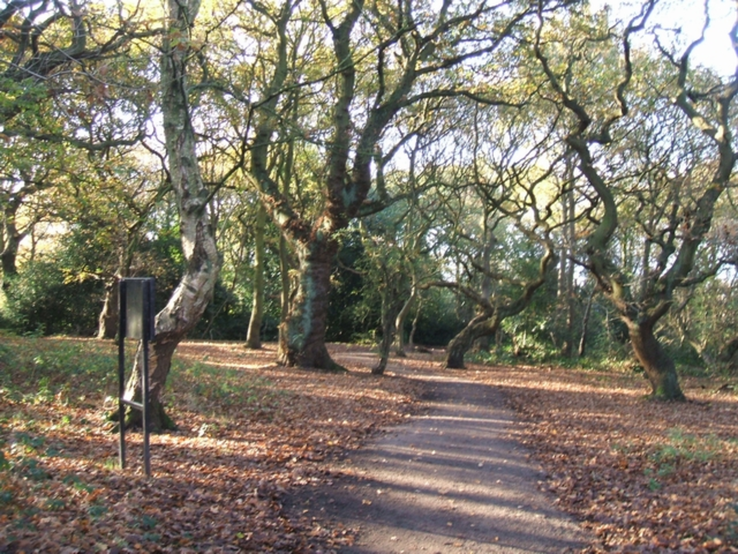 An image depicting the trail Rough Wood, Sneyd Reservoir and Oily Gough Walk and its surrounding area.