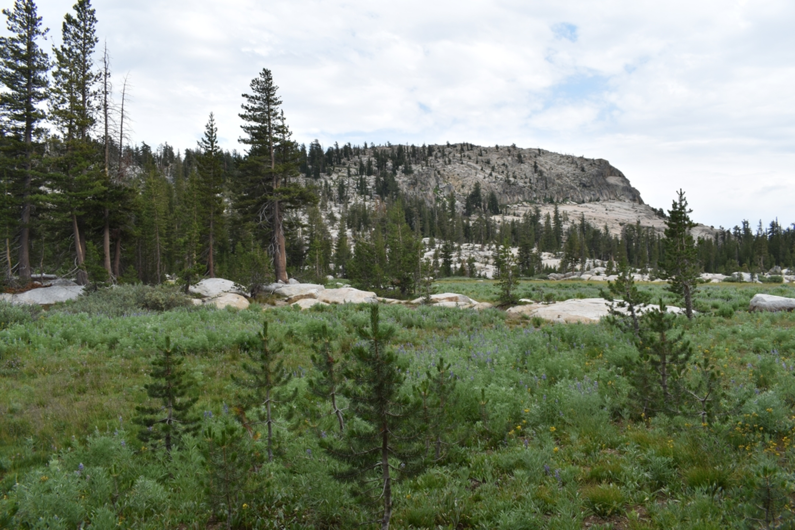 An image depicting the trail Powell Lake via Glanelli Trail and its surrounding area.