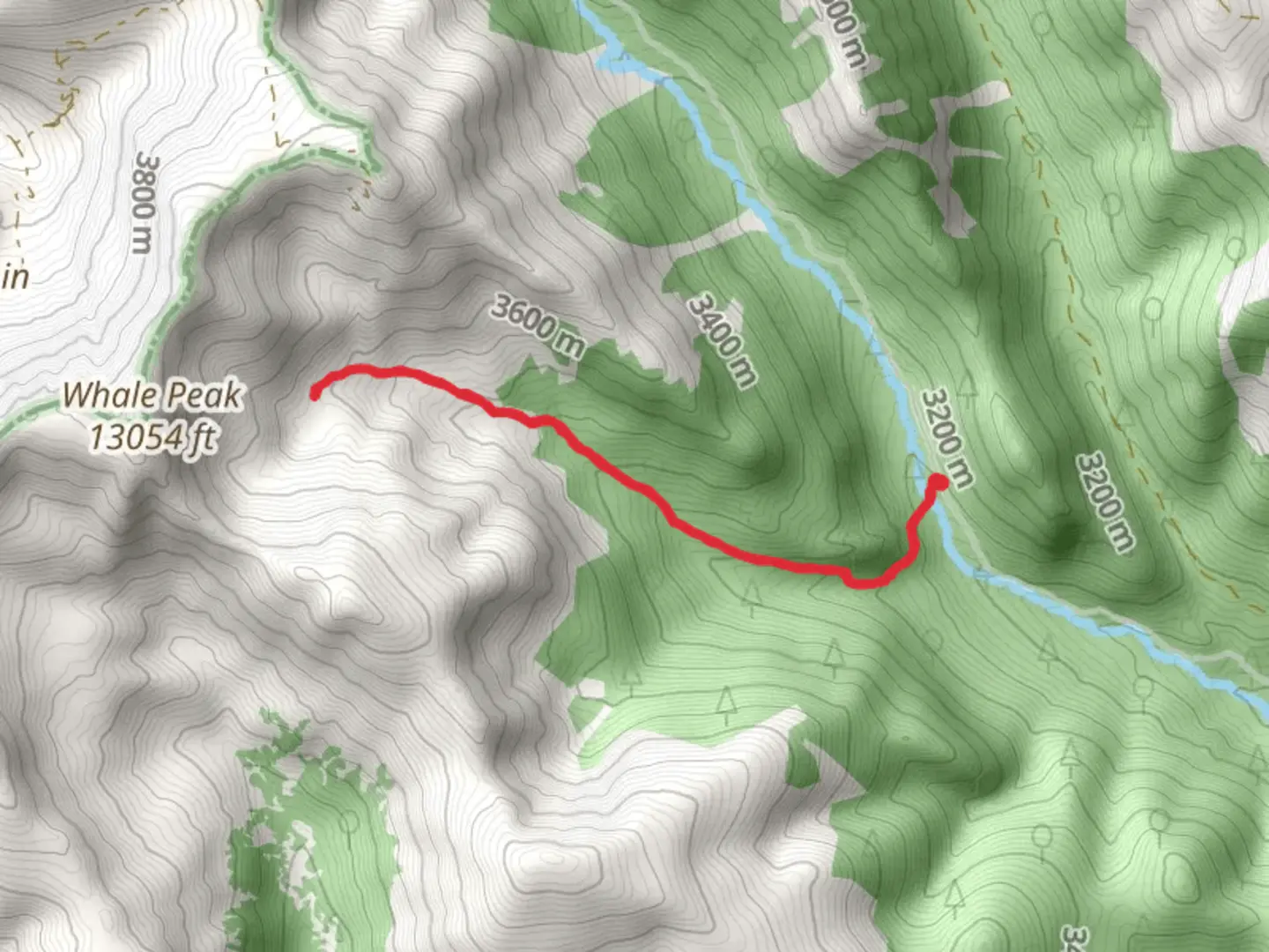 An image depicting the trail Gibson Lake Trail and its surrounding area.