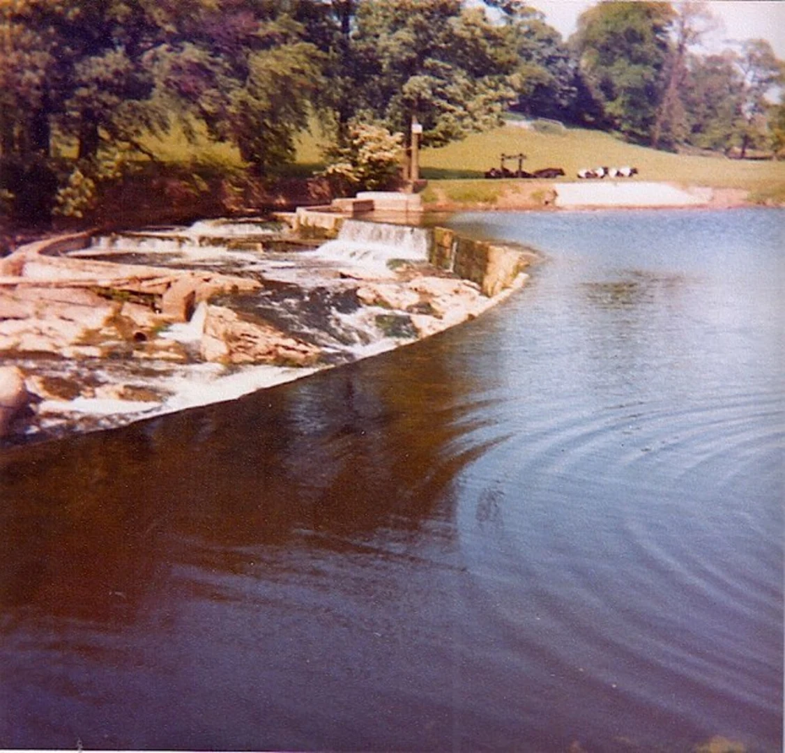 An image depicting the trail Clitheroe Walk and its surrounding area.