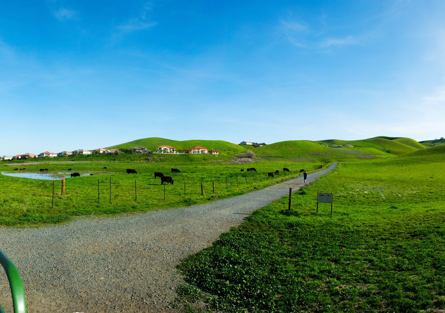 An image depicting the trail Stewartville and Homestead Loop Trail and its surrounding area.