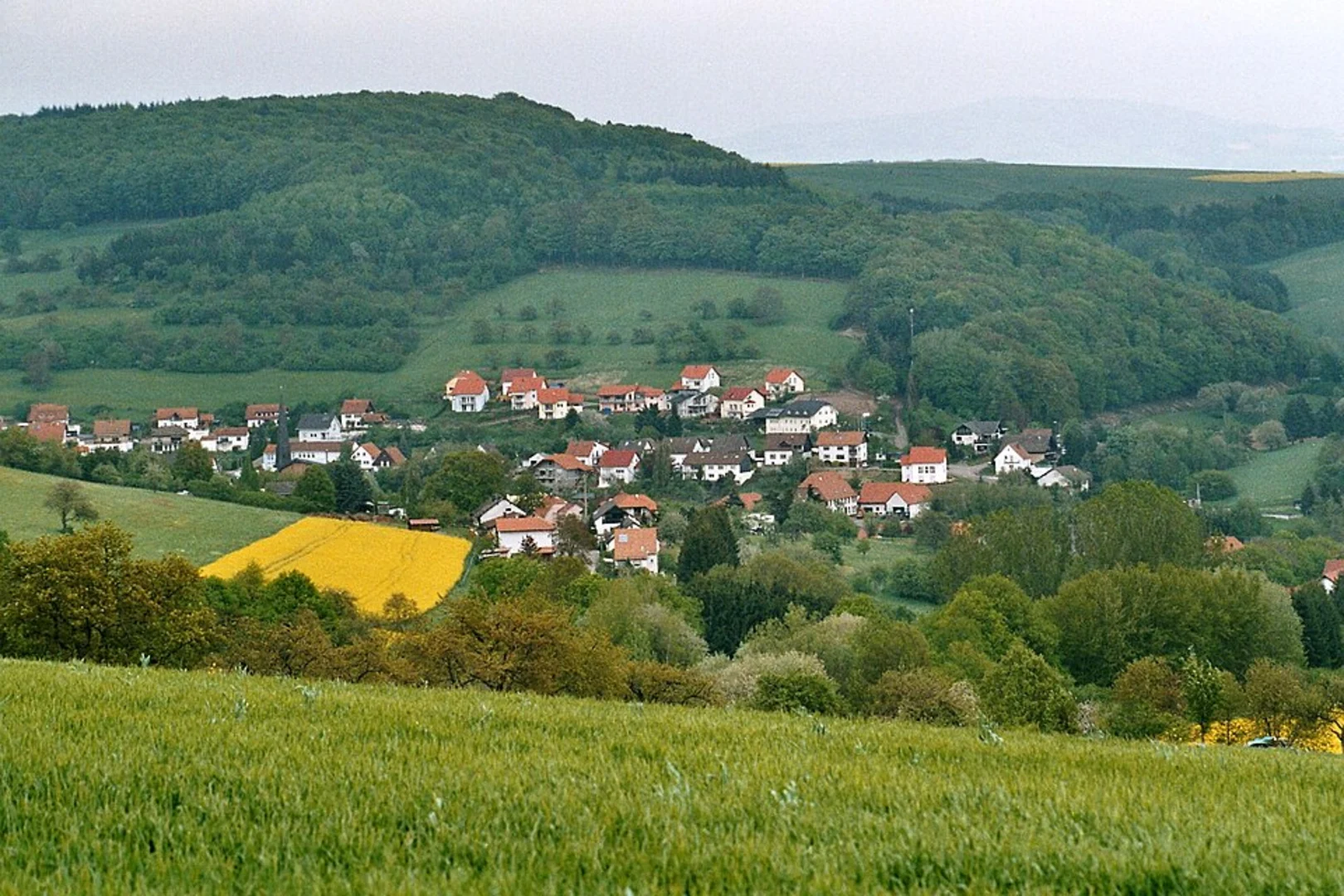 An image depicting the trail Ohmbach Loop and its surrounding area.