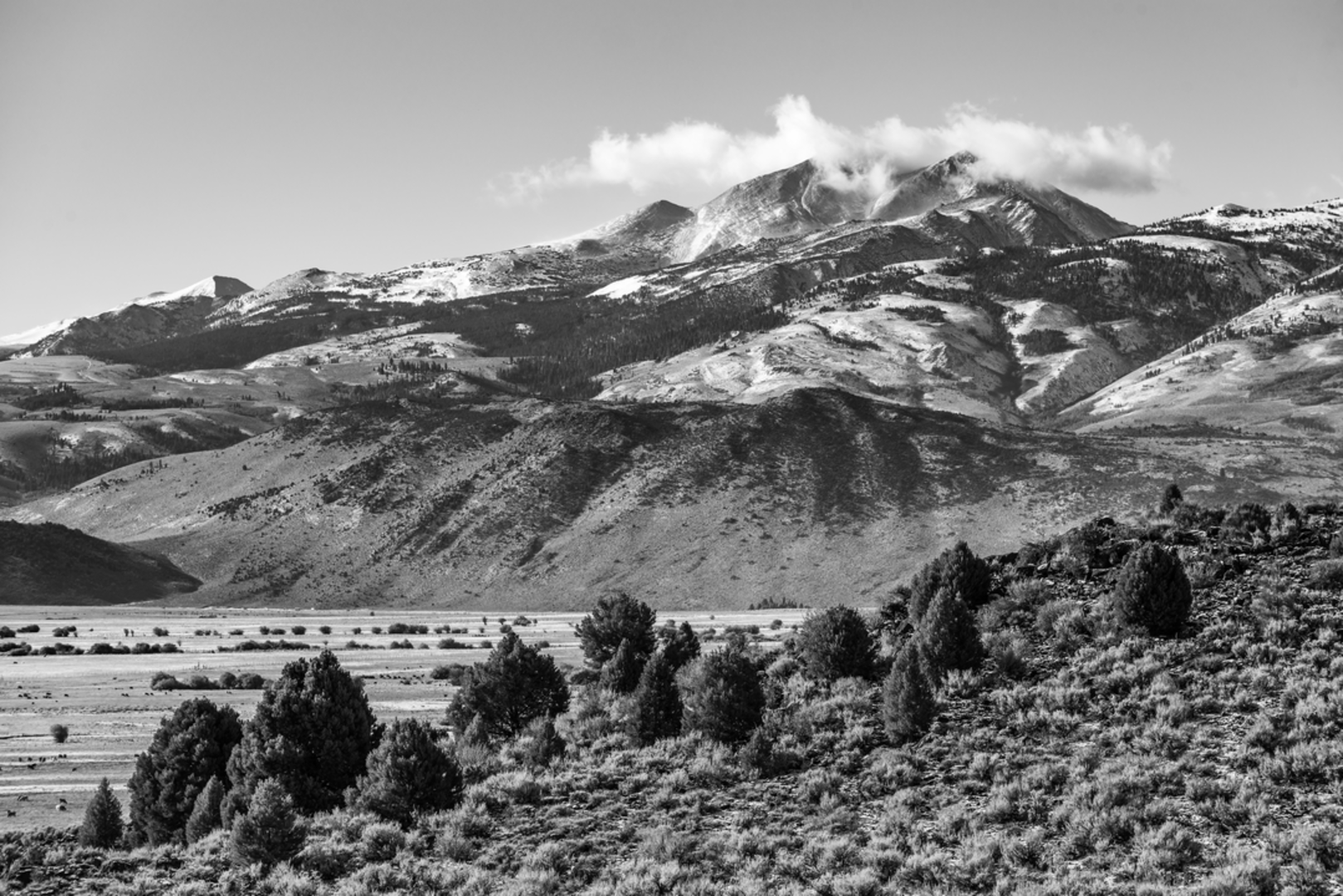 An image depicting the trail Kavanaugh Ridge Trail and its surrounding area.