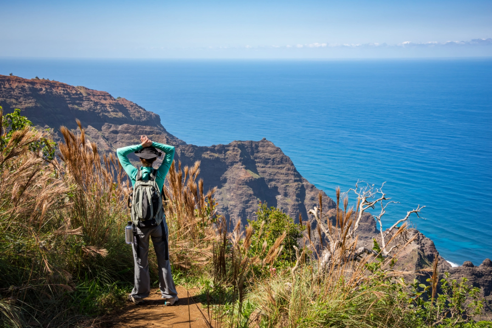 An image depicting the trail Awa'awapuhi Trail and its surrounding area.