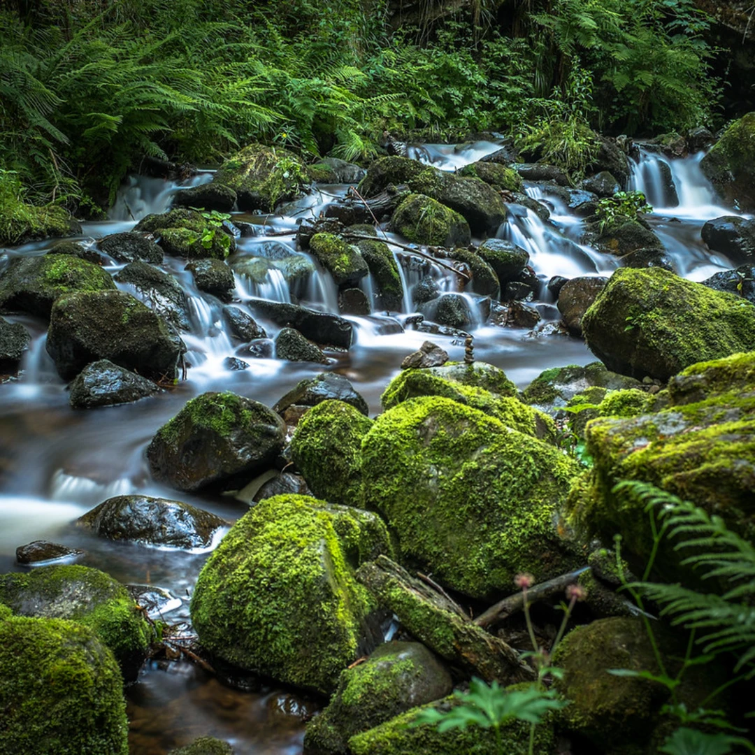 An image depicting the trail Großer Ravenna-Wasserfall and Kleiner Ravenna-Wasserfall Walk via Höllsteig and its surrounding area.