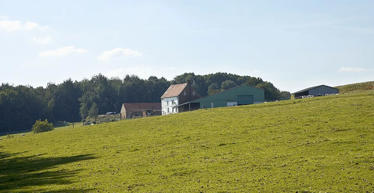 Het Markslag and NSG Witte Veen Loop