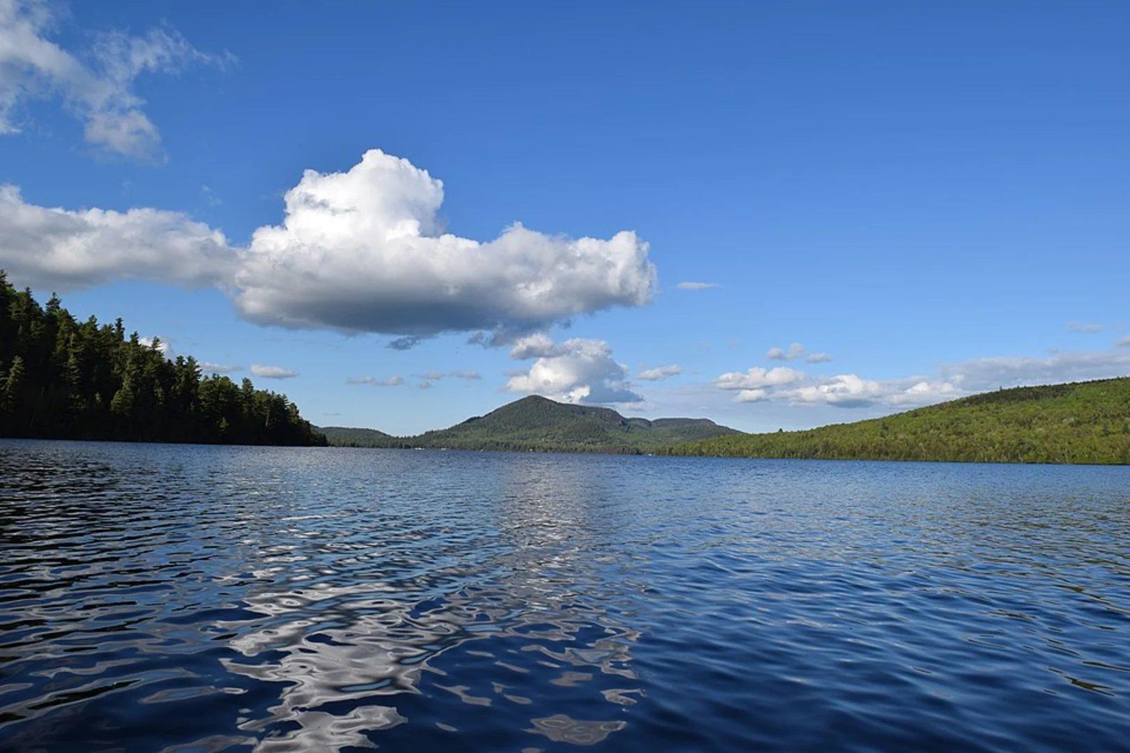 An image depicting the trail Silver Lake Bluffs Trail and its surrounding area.