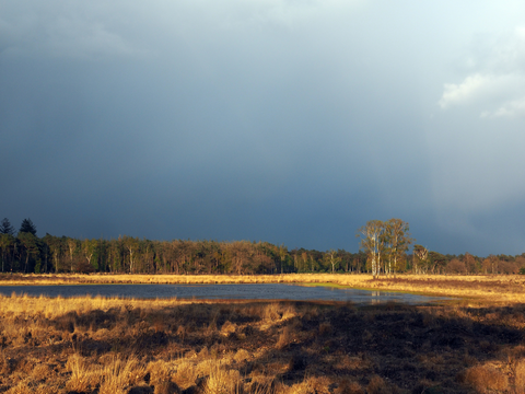 Witven and Hoenderboom Loop