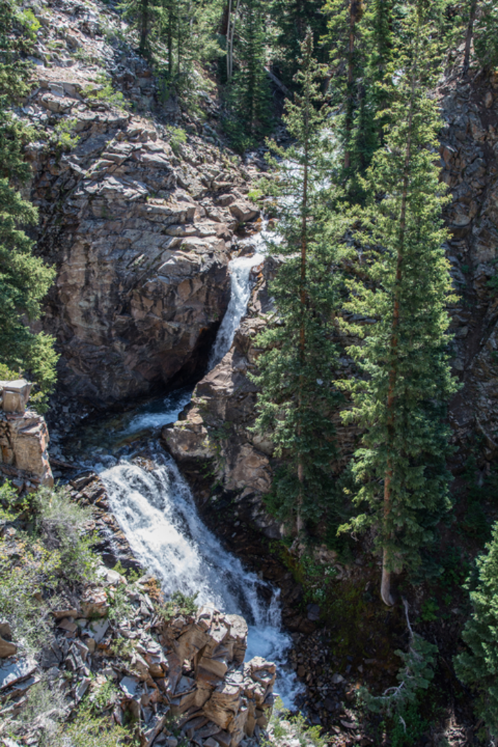An image depicting the trail Cooper Creek via Cooper Pass Trail and its surrounding area.