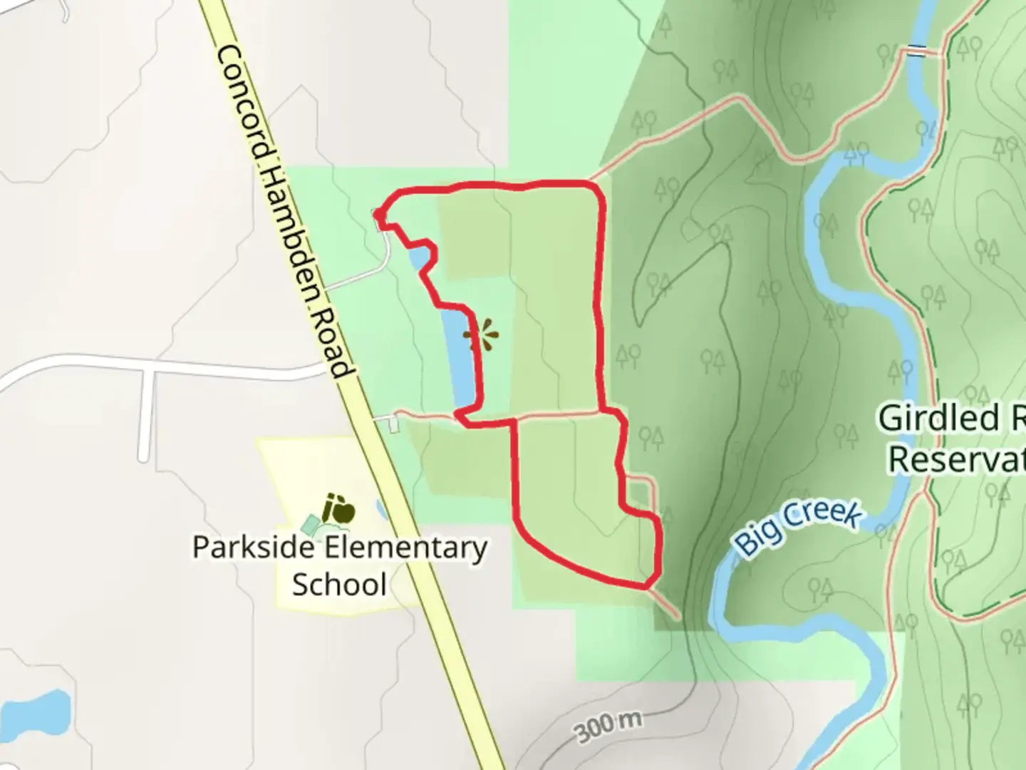 An image depicting the trail Skok Meadow Loop Trail and its surrounding area.