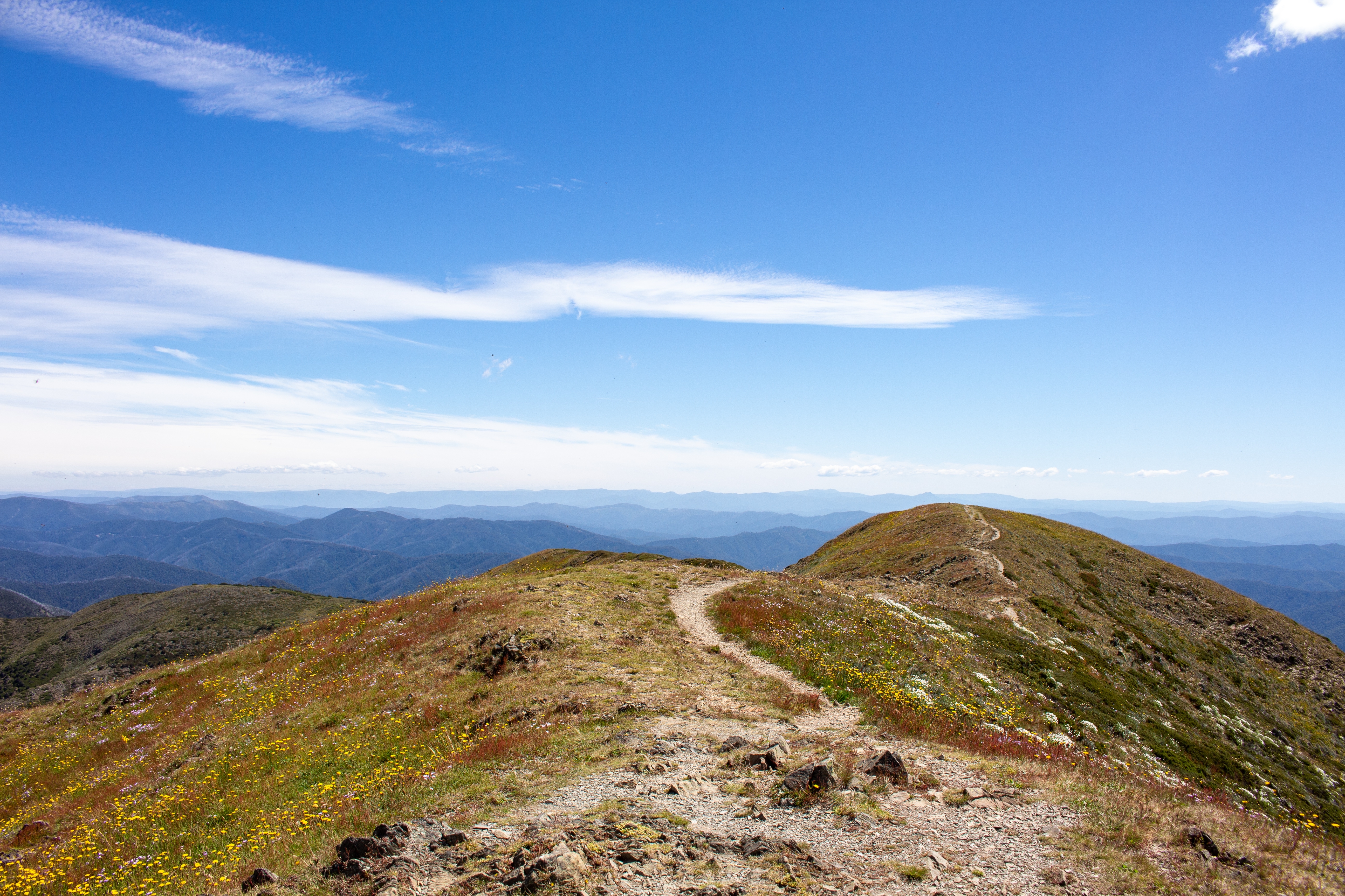 An image depicting the trail Alpine National Park and its surrounding area.