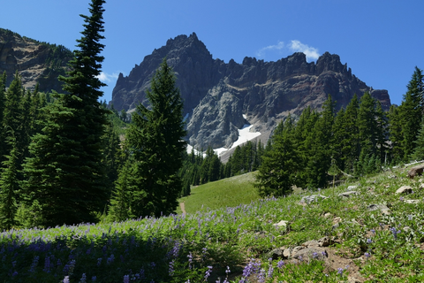 An image depicting the trail Hunts Cove via Bingham Ridge Trail and its surrounding area.